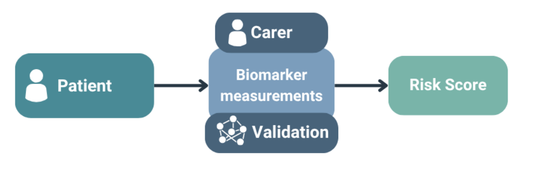 Carer-AI Kit Risk Assessor workflow diagram